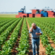 China's Soybean Stockpiles Soar: U.S. Farmers Face Frustration and Failed Trade Promises 2 China's Soybean Stockpiles Soar: U.S. Farmers Face Frustration and Failed Trade Promises